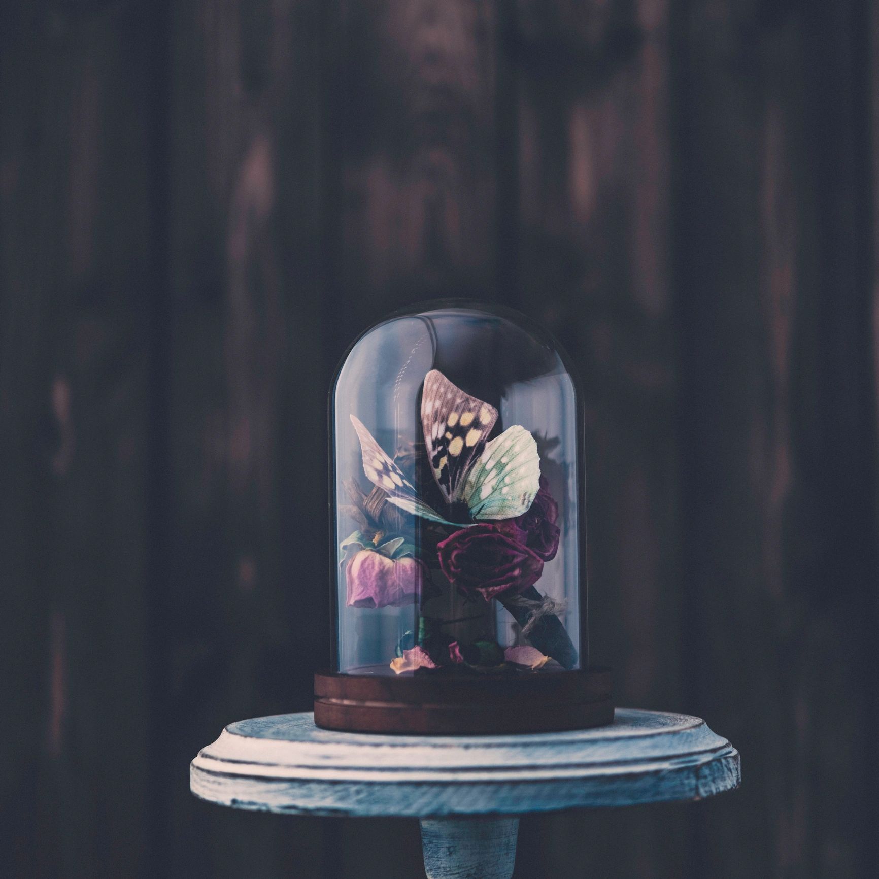 Botanical beauty still life with dried roses